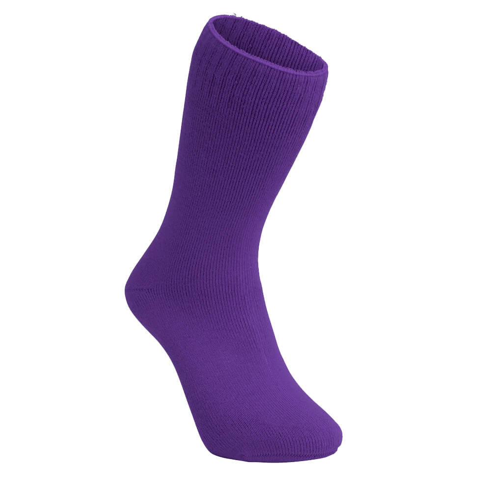Mentor M02 Bamboo Sock Purple
